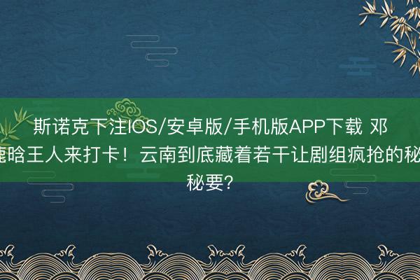 斯诺克下注IOS/安卓版/手机版APP下载 邓超鹿晗王人来打卡！云南到底藏着若干让剧组疯抢的秘要？