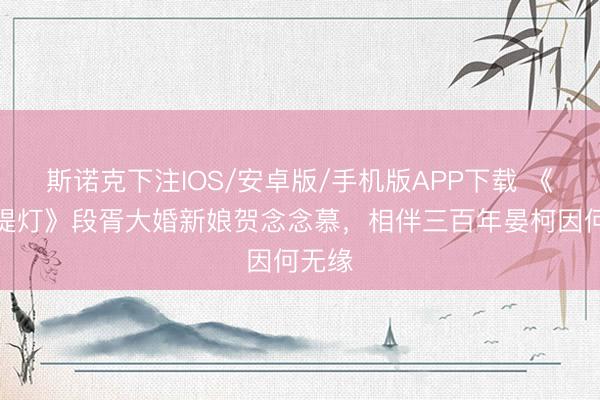 斯诺克下注IOS/安卓版/手机版APP下载 《白昼提灯》段胥大婚新娘贺念念慕，相伴三百年晏柯因何无缘