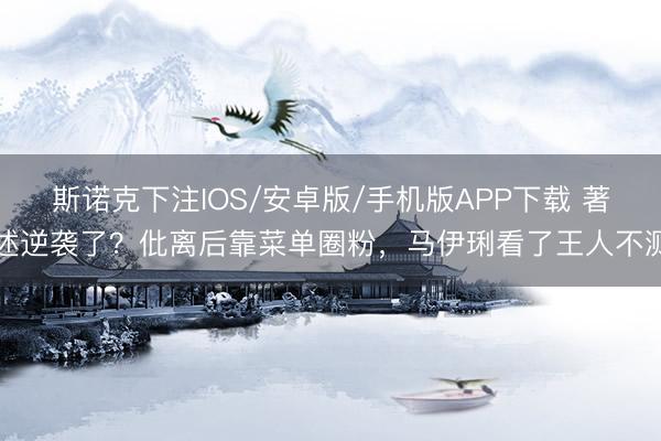 斯诺克下注IOS/安卓版/手机版APP下载 著述逆袭了？仳离后靠菜单圈粉，马伊琍看了王人不测