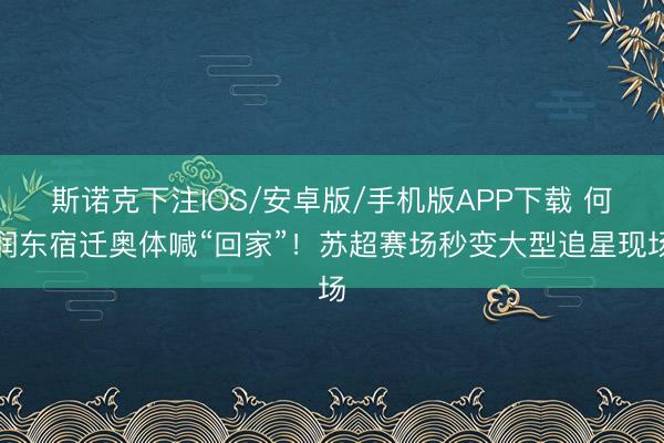斯诺克下注IOS/安卓版/手机版APP下载 何润东宿迁奥体喊“回家”！苏超赛场秒变大型追星现场