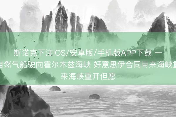 斯诺克下注IOS/安卓版/手机版APP下载 一艘液化自然气船驶向霍尔木兹海峡 好意思伊合同带来海峡重开但愿
