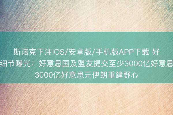 斯诺克下注IOS/安卓版/手机版APP下载 好意思伊合同部分细节曝光：好意思国及盟友提交至少3000亿好意思元伊朗重建野心