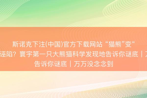 斯诺克下注(中国)官方下载网站 “猫熊”变“熊猫”居然是诬陷？寰宇第一只大熊猫科学发现地告诉你谜底｜万万没念念到