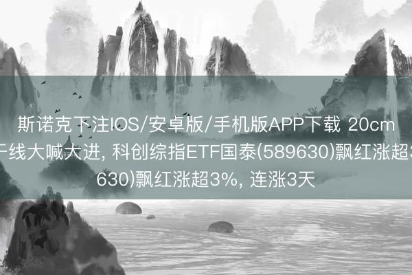 斯诺克下注IOS/安卓版/手机版APP下载 20cm速递丨科技干线大喊大进， 科创综指ETF国泰(589630)飘红涨超3%， 连涨3天